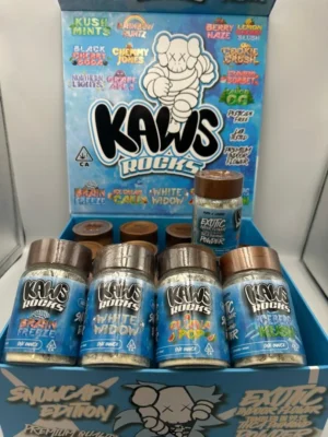 Kaws Rocks Snowcap for Sale